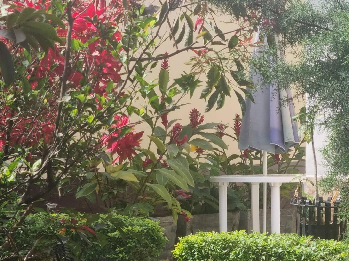 Tout Confort Avec Jardin Entree Bastos Yaoundé Eksteriør billede
