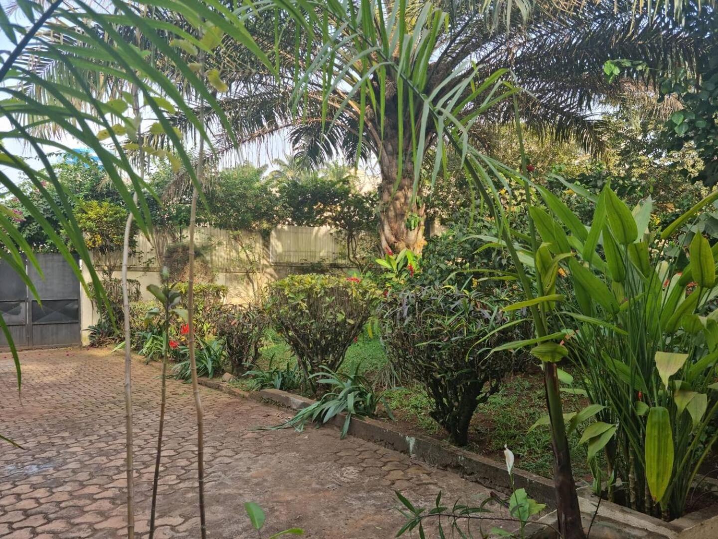 Tout Confort Avec Jardin Entree Bastos Yaoundé Eksteriør billede