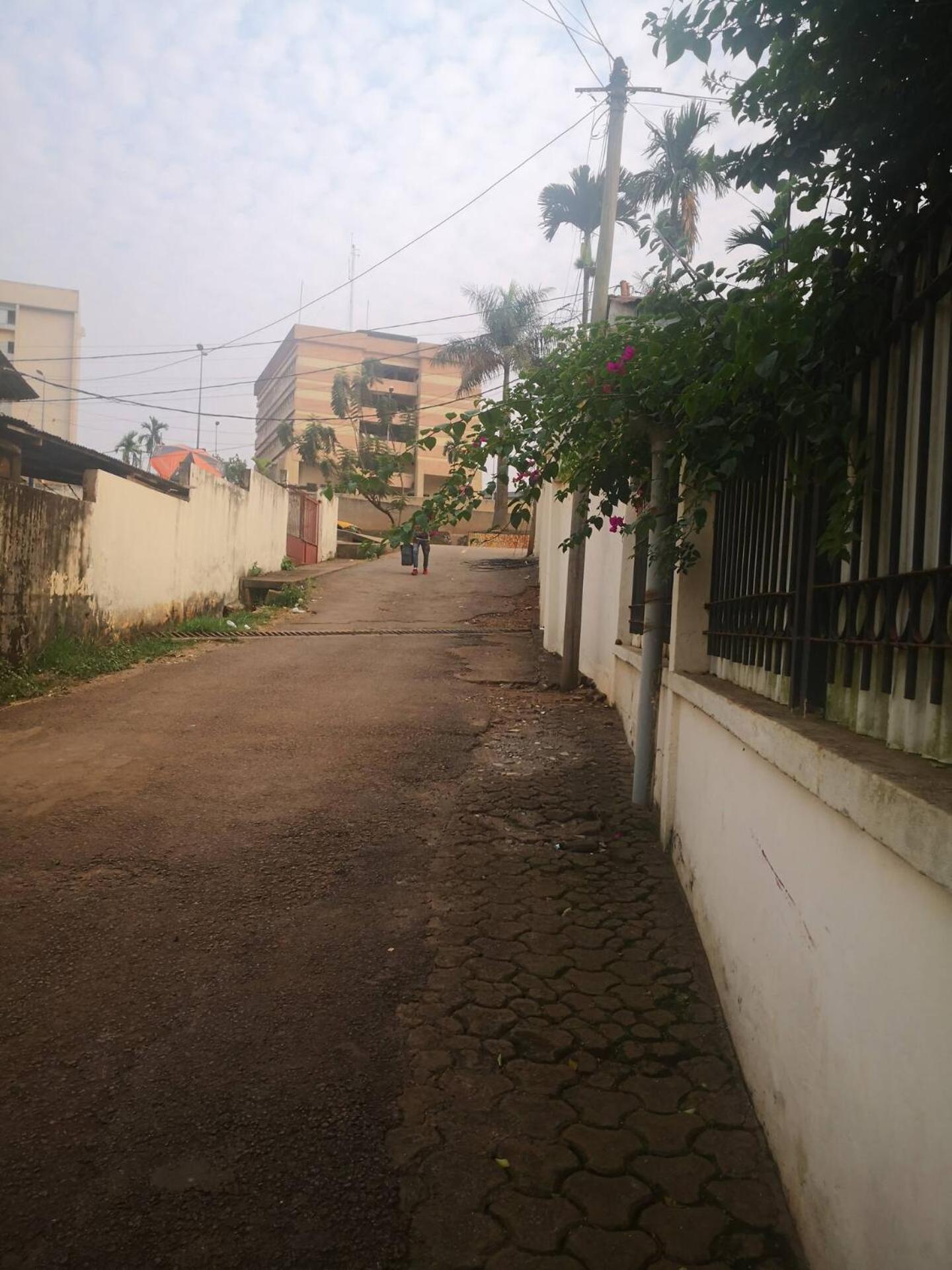 Tout Confort Avec Jardin Entree Bastos Yaoundé Eksteriør billede